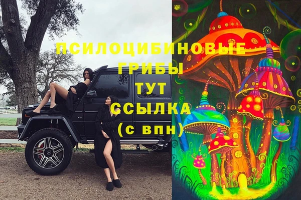 твердый Алексин