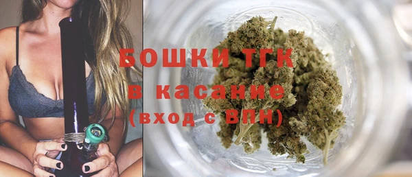 прущие грибы Покровск