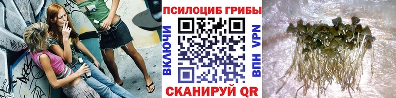 MEGA ссылки  Монино  Галлюциногенные грибы мицелий 